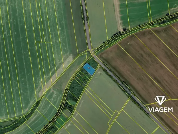 Prodej lesa, Jarohněvice, 1000 m2