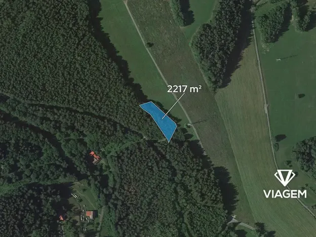 Prodej lesa, Loužnice, 2217 m2