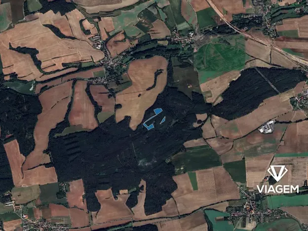 Prodej podílu lesa, Libovice, 2324 m2