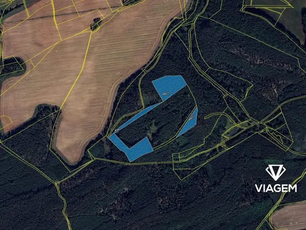 Prodej podílu lesa, Libovice, 2324 m2