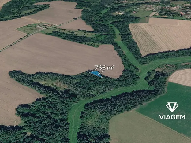 Prodej lesa, Lobeč, 766 m2