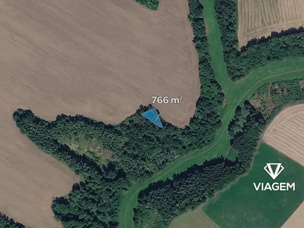 Prodej lesa, Lobeč, 766 m2