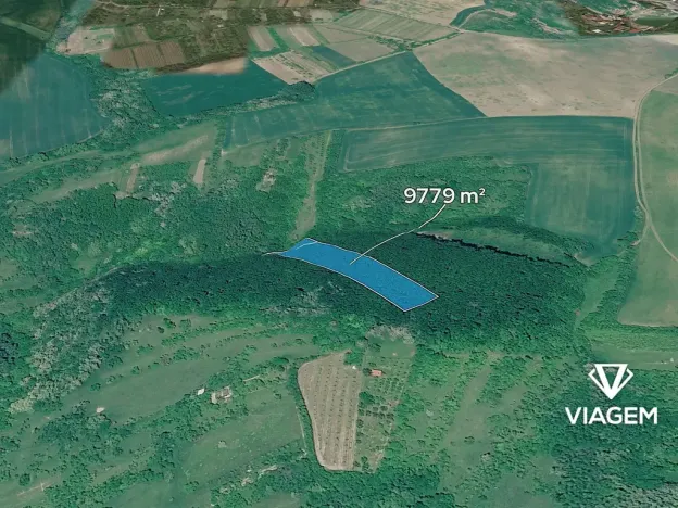 Prodej podílu lesa, Klobouky u Brna, 1086 m2