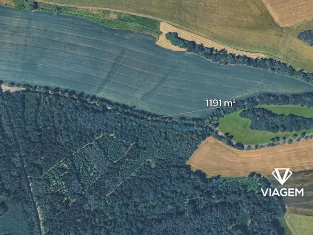 Prodej podílu lesa, Korkyně, 595 m2