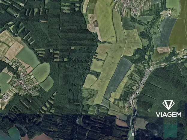 Prodej lesa, Šarovy, 2938 m2