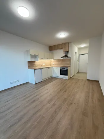 Pronájem bytu 1+kk, Plzeň, Kartónová, 39 m2