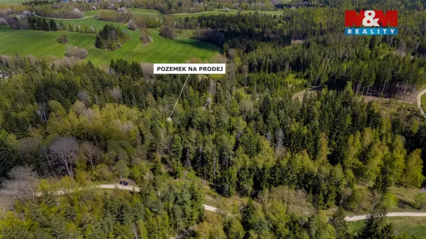 Prodej lesa, Železný Brod, 11203 m2