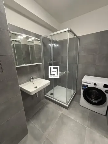 Pronájem bytu 1+kk, Olomouc, Aloise Rašína, 38 m2