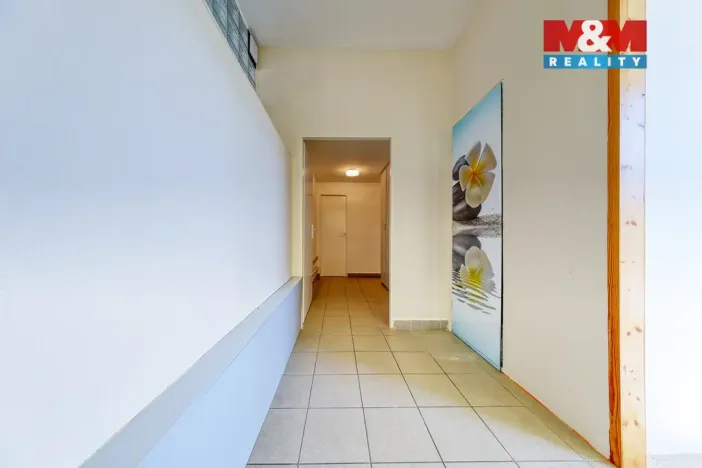 Prodej kanceláře, Písek - Pražské Předměstí, Čechova, 53 m2