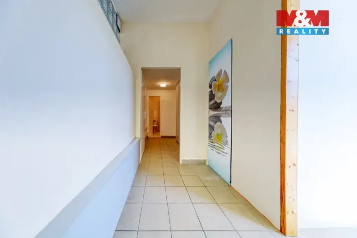 Prodej obchodního prostoru, Písek - Pražské Předměstí, Čechova, 53 m2