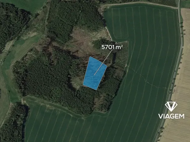 Prodej podílu lesa, Stříbrné Hory, 1425 m2