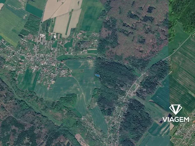 Prodej lesa, Horní Lhota, 1346 m2