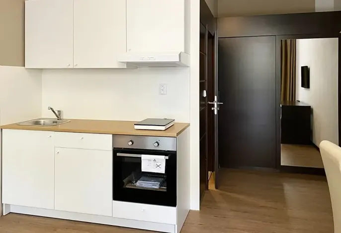Pronájem bytu 1+kk, Brno, Francouzská, 22 m2