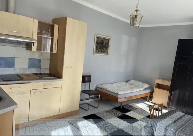 Pronájem pokoje, Praha - Vinohrady, 18 m2
