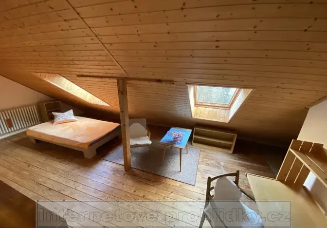 Pronájem pokoje, Liberec, Lyžařská, 18 m2