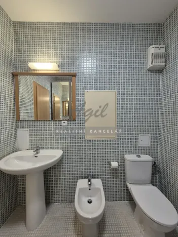 Pronájem bytu 1+kk, Brno, 56 m2