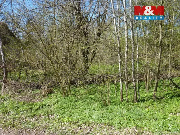 Prodej pozemku pro bydlení, Brzice, 1453 m2