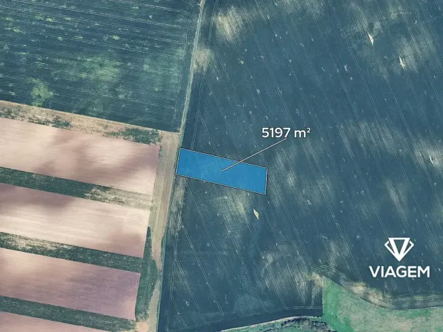 Prodej podílu pole, Velké Němčice, 1732 m2