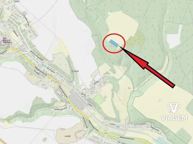 Prodej podílu lesa, Bělá pod Bezdězem, 824 m2