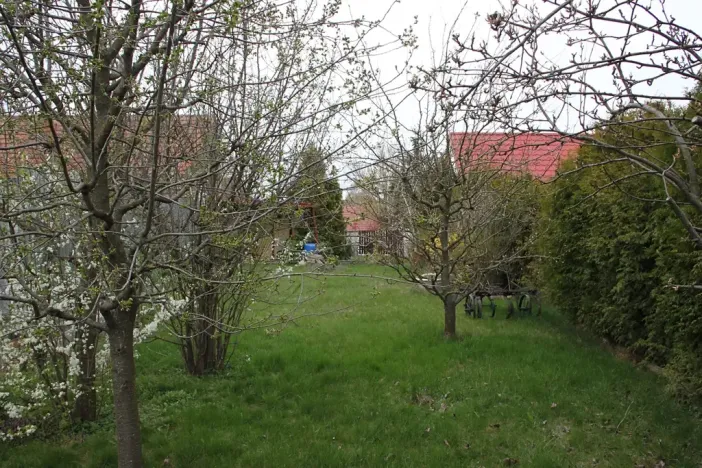Pronájem zahrady, Blížkovice, 286 m2