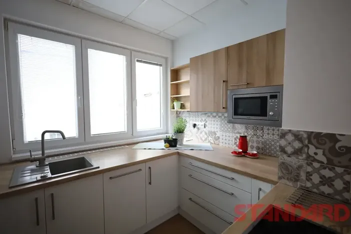 Pronájem bytu 1+1, Plzeň, Solní, 50 m2