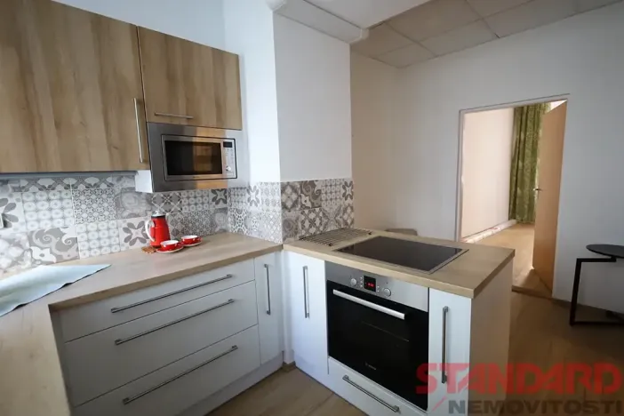Pronájem bytu 1+1, Plzeň, Solní, 50 m2