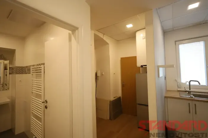 Pronájem bytu 1+1, Plzeň, Solní, 50 m2