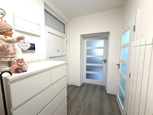 Pronájem bytu 1+1, Brno - Královo Pole, Hrubého, 42 m2