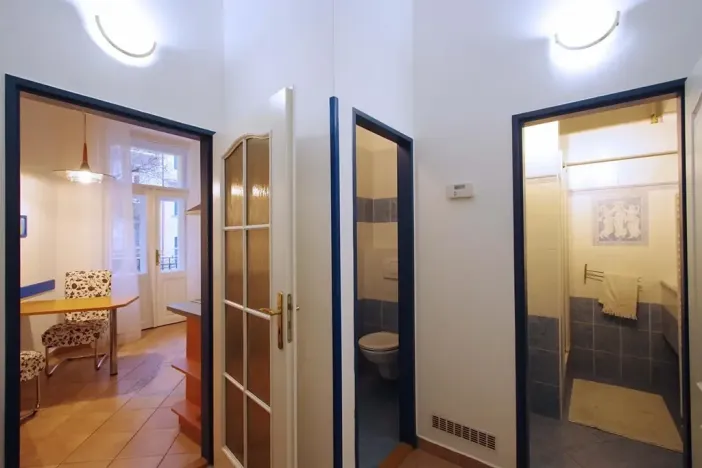 Pronájem bytu 1+1, Praha - Vinohrady, Polská, 45 m2