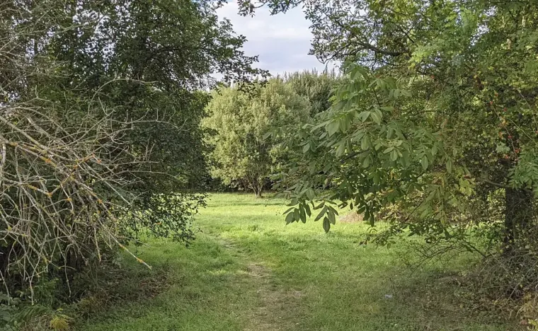 Prodej pozemku pro bydlení, Kladno, Jar. Seiferta, 4912 m2