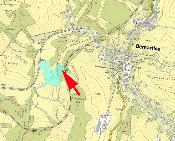 Prodej lesa, Bernartice, 9502 m2