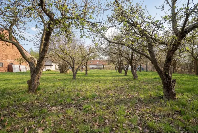 Prodej rodinného domu, Nový Bydžov - Vysočany, 115 m2