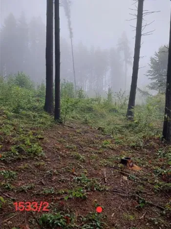 Prodej lesa, Nový Rychnov, 5967 m2