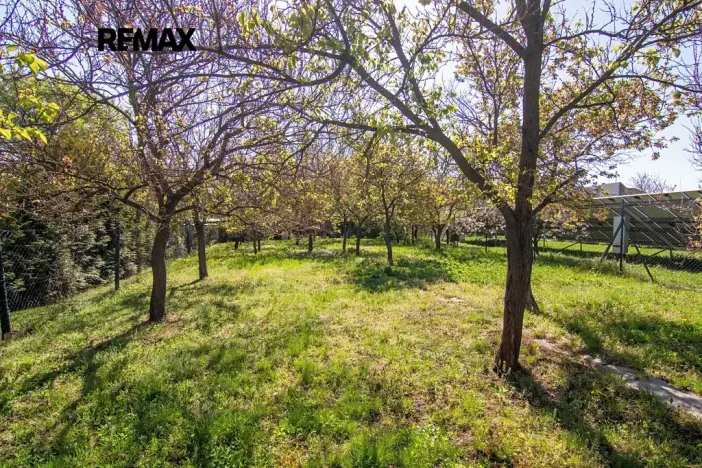 Prodej rodinného domu, Podivín, Sokolská, 220 m2
