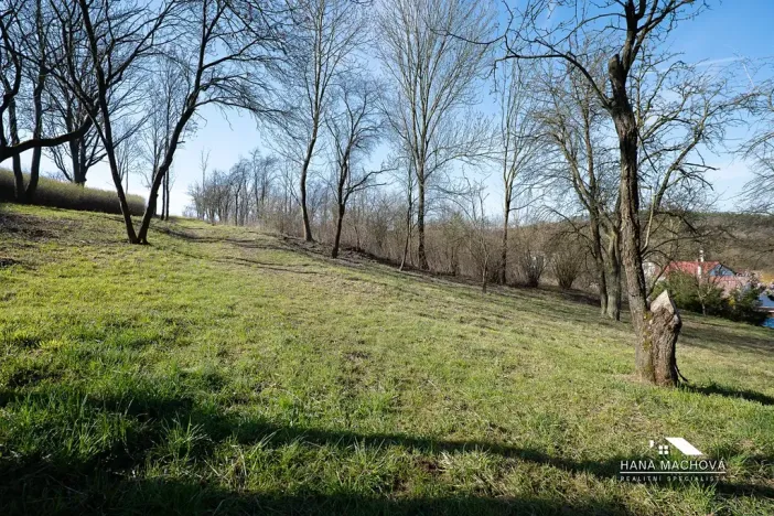 Prodej pozemku pro bydlení, Kopidlno, Na Vinici, 8371 m2
