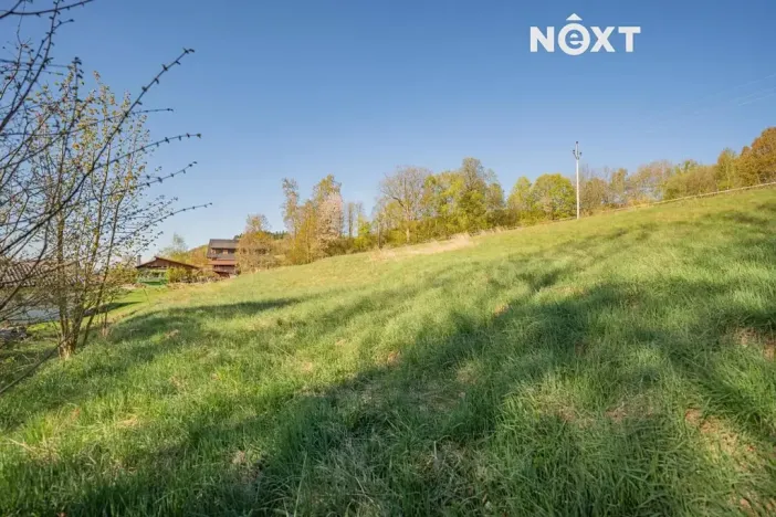 Prodej pozemku pro bydlení, Velké Losiny, 1856 m2