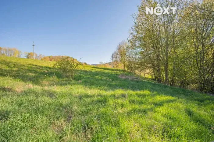Prodej pozemku pro bydlení, Velké Losiny, 1856 m2