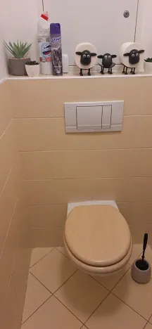 Pronájem bytu 2+1, Liberec, Seniorů, 64 m2