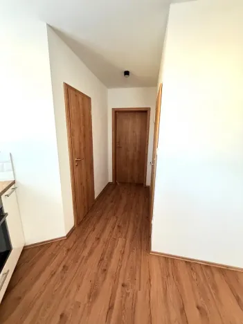 Pronájem bytu 2+kk, Brno - Ivanovice, Hřebíčková, 33 m2