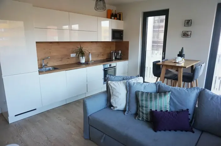 Prodej bytu 2+kk, Praha - Žižkov, Olšanská, 62 m2
