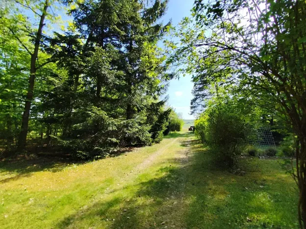 Prodej chaty, Heřmanův Městec, 70 m2