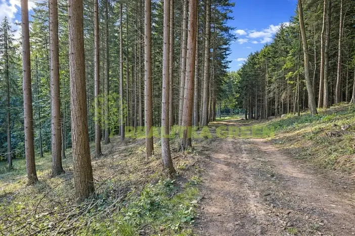 Prodej lesa, Zlín, Modřínová, 152613 m2