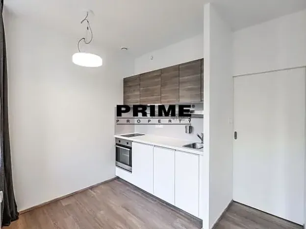 Pronájem bytu 1+kk, Praha - Vinohrady, Lucemburská, 30 m2