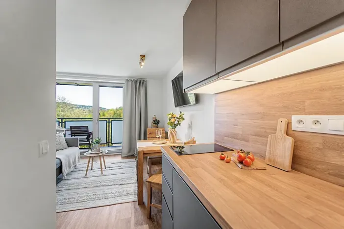 Prodej bytu 1+kk, Janov nad Nisou, 27 m2