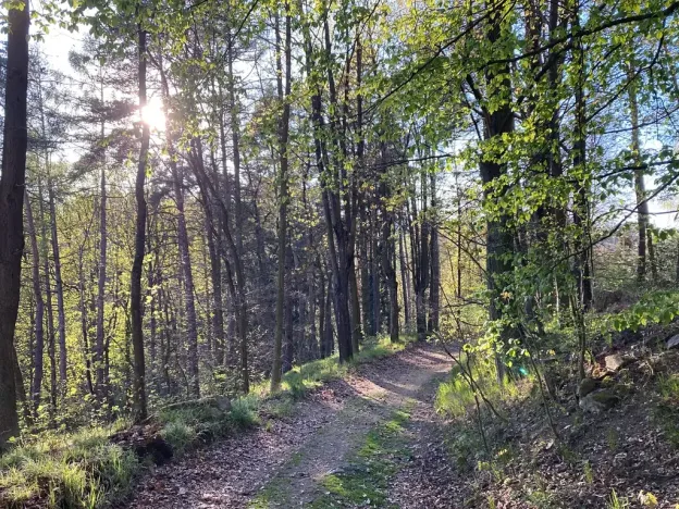 Prodej rodinného domu, Postupice, náměstí Jiřího Franka, 96 m2