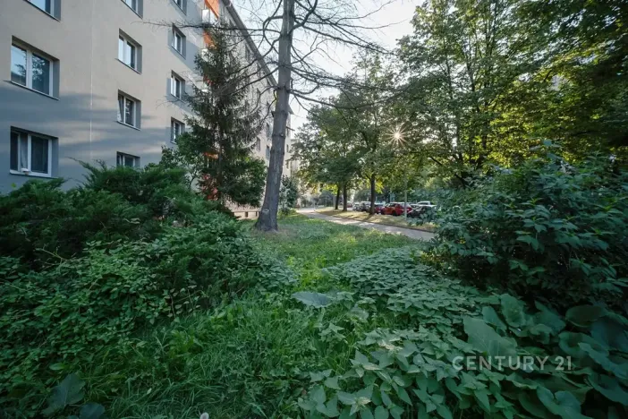 Pronájem bytu 2+1, Praha - Žižkov, Pod lipami, 52 m2