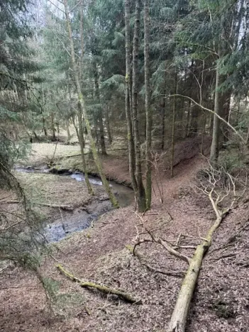 Prodej lesa, Mrákov, 34704 m2