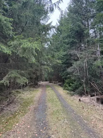 Prodej lesa, Mrákov, 34704 m2