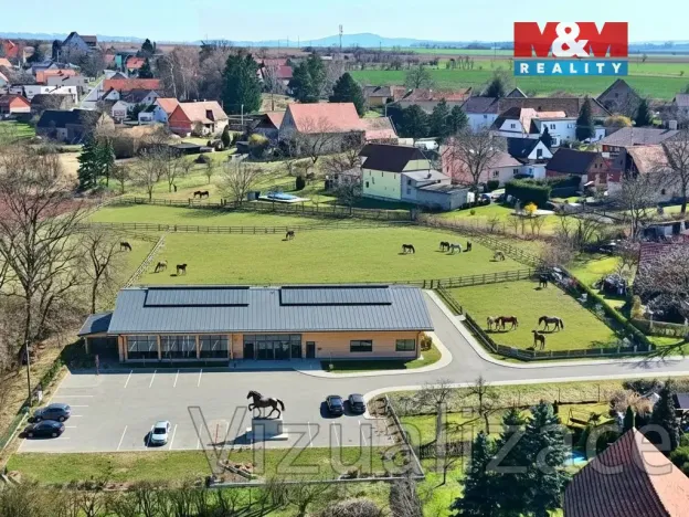 Prodej chalupy, Svojetín, 110 m2