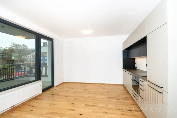 Pronájem bytu 2+kk, Praha - Nusle, Závišova, 42 m2